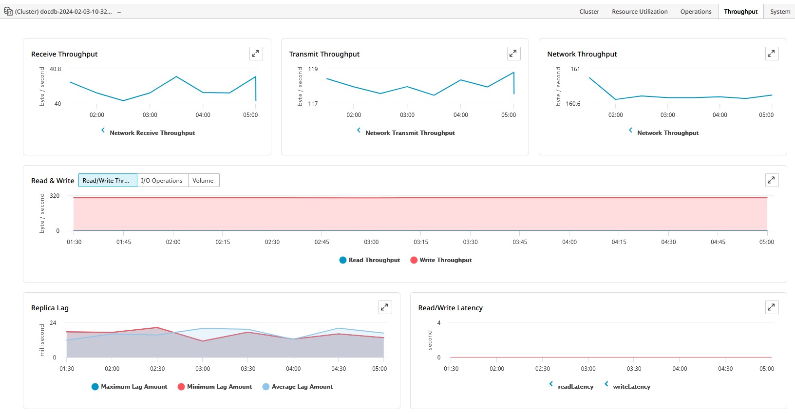 Throughput Throughput